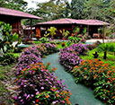Los Copales Cabins