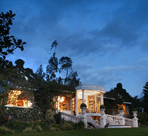 Hoster�a La Mirage Garden
